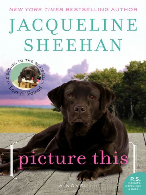 Title details for Picture This by Jacqueline Sheehan - Wait list